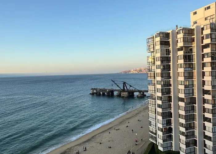 Departamento Frente Al Mar , Vina Del Mar